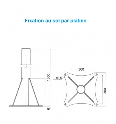Piéd platine