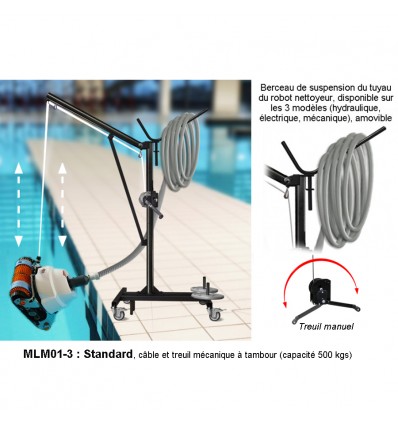 Mobile universal pool lift
