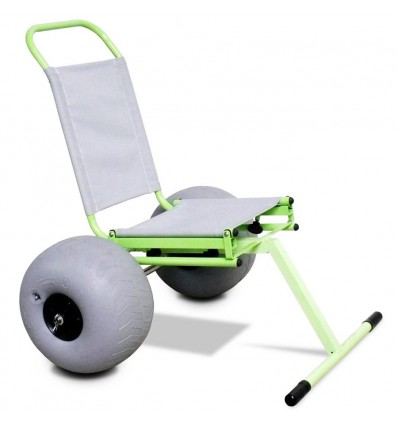 Special Chair